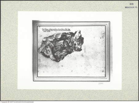 Vorderseite von bh402377_recto