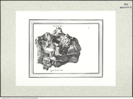 Vorderseite von bh402378-1_bh402378-2_recto