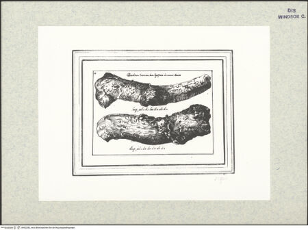 Vorderseite von bh402382_recto