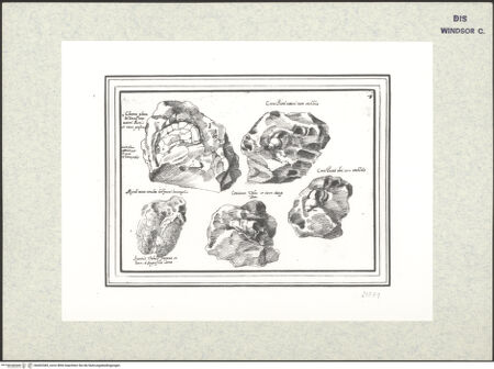 Vorderseite von bh402385_recto