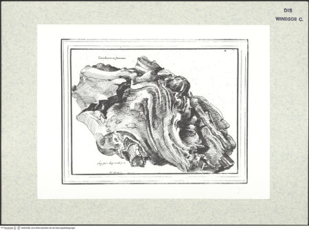 Vorderseite von bh402386_recto