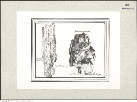 Vorderseite von bh402387_recto