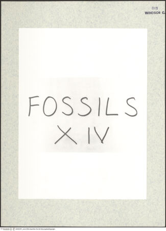 Vorderseite von bh402391_recto