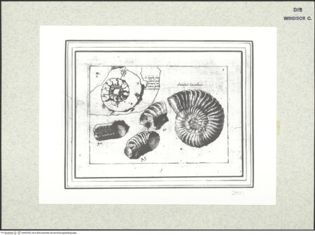 Vorderseite von bh402392_recto