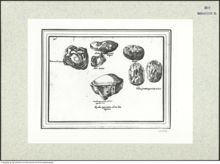 Vorderseite von bh402593_recto