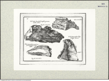 Vorderseite von bh402595-1_bh402595-2_recto