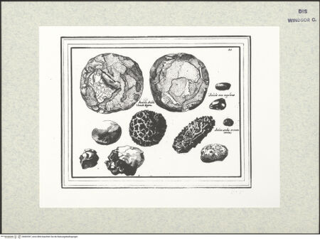 Vorderseite von bh402597_recto