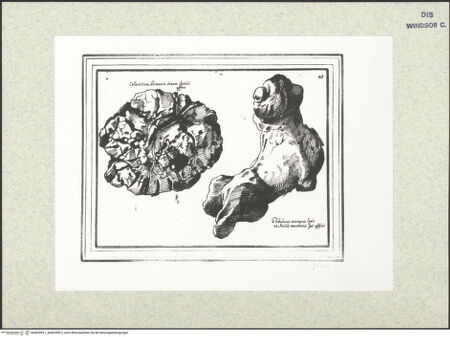 Vorderseite von bh402599-1_bh402599-2_recto