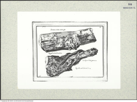 Vorderseite von bh402601_recto