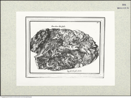 Vorderseite von bh402602_recto