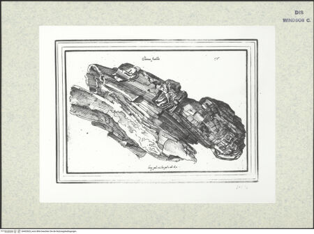 Vorderseite von bh402603_recto