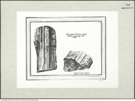 Vorderseite von bh402604-1_bh402604-2_recto