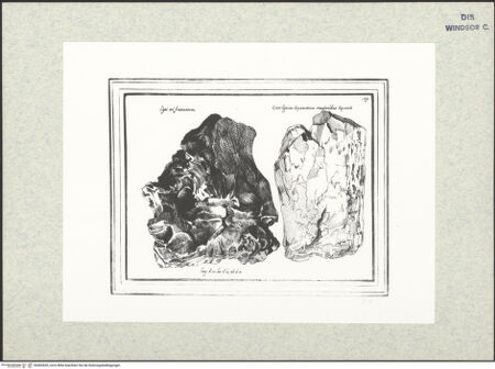 Vorderseite von bh402605_recto