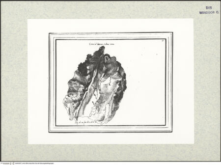 Vorderseite von bh402607_recto