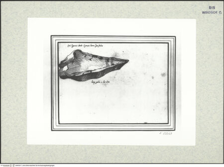 Vorderseite von bh402611_recto