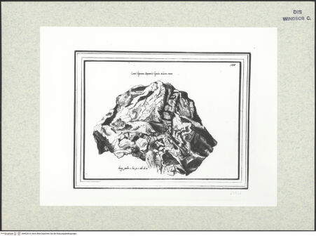 Vorderseite von bh402614_recto