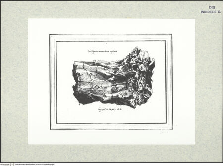 Vorderseite von bh402615_recto