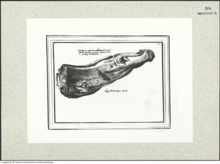 Vorderseite von bh402616_recto