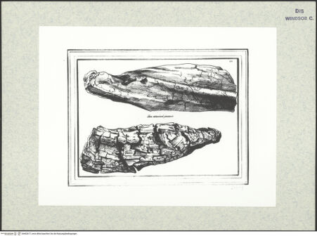 Vorderseite von bh402617_recto