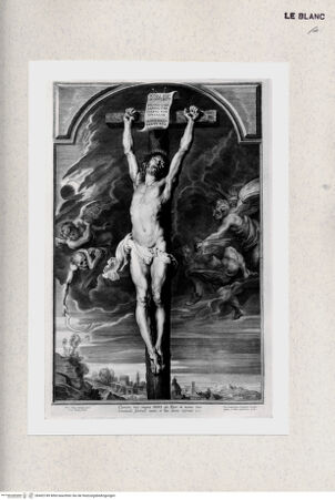 Vorderseite von bh402749