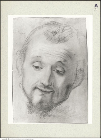 Vorderseite von bh402782_recto