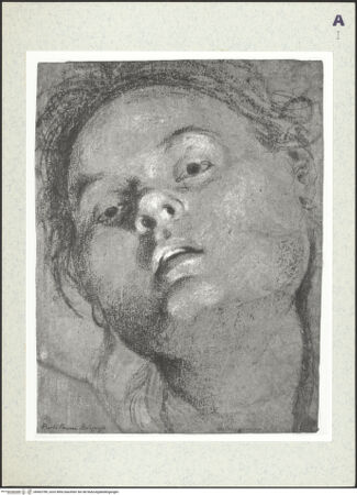 Vorderseite von bh402789_recto