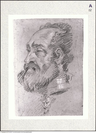 Vorderseite von bh402791_recto