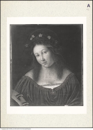 Vorderseite von bh402866_recto