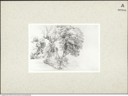 Vorderseite von bh403029_recto