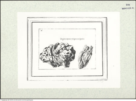 Vorderseite von bh403035_recto