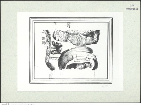 Vorderseite von bh403036_recto