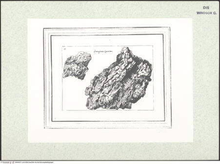 Vorderseite von bh403037_recto