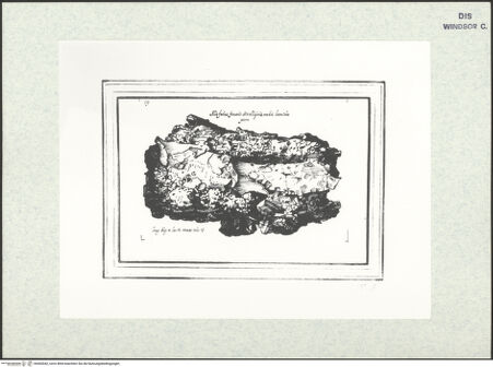 Vorderseite von bh403042_recto