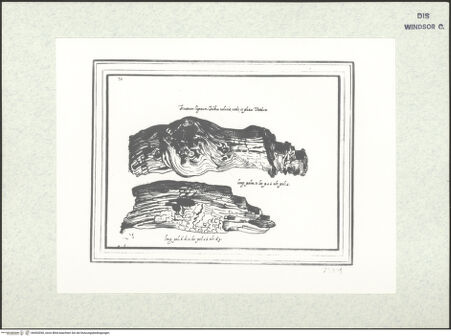 Vorderseite von bh403050_recto