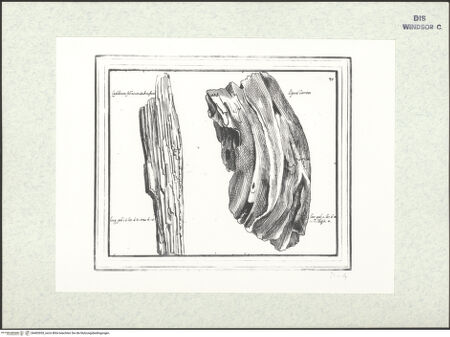 Vorderseite von bh403055_recto