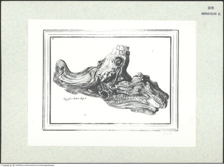 Vorderseite von bh403058_recto