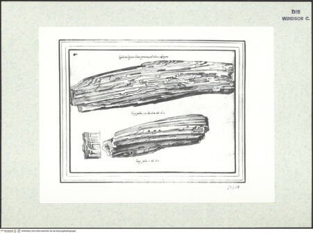 Vorderseite von bh403060_recto