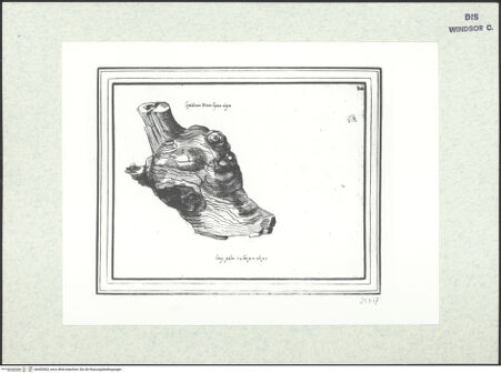 Vorderseite von bh403062_recto