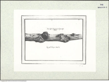 Vorderseite von bh403063_recto