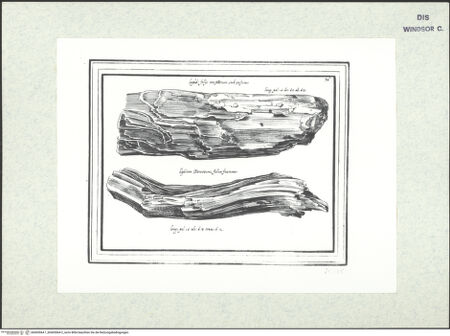 Vorderseite von bh403064-1_bh403064-2_recto