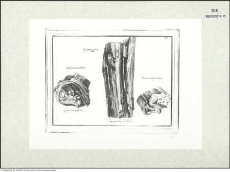 Vorderseite von bh403067_recto