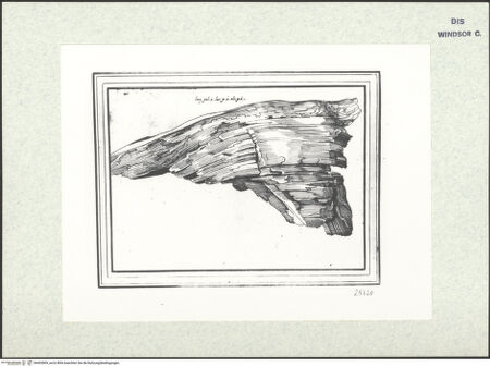 Vorderseite von bh403069_recto