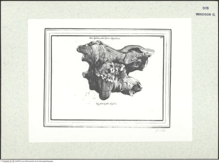 Vorderseite von bh403073_recto