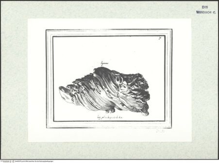 Vorderseite von bh403079_recto