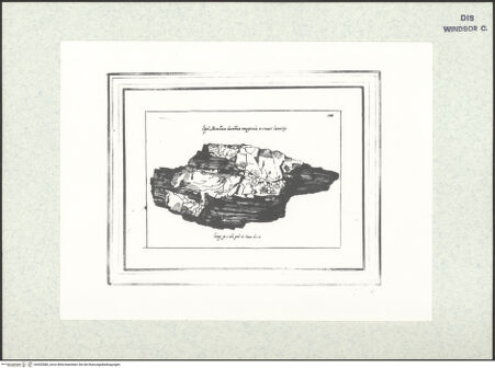 Vorderseite von bh403080_recto