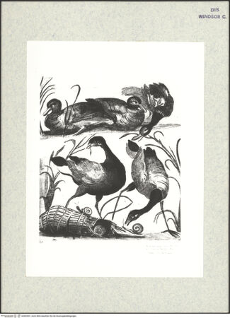 Vorderseite von bh403551_recto