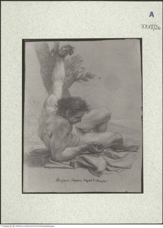 Vorderseite von bh403644_recto