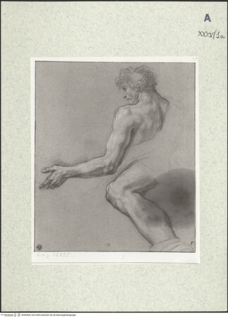 Vorderseite von bh403646_recto