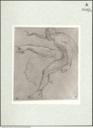 Vorderseite von bh403650_recto