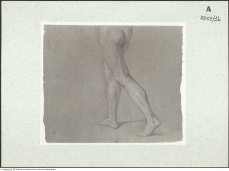 Vorderseite von bh403652_recto